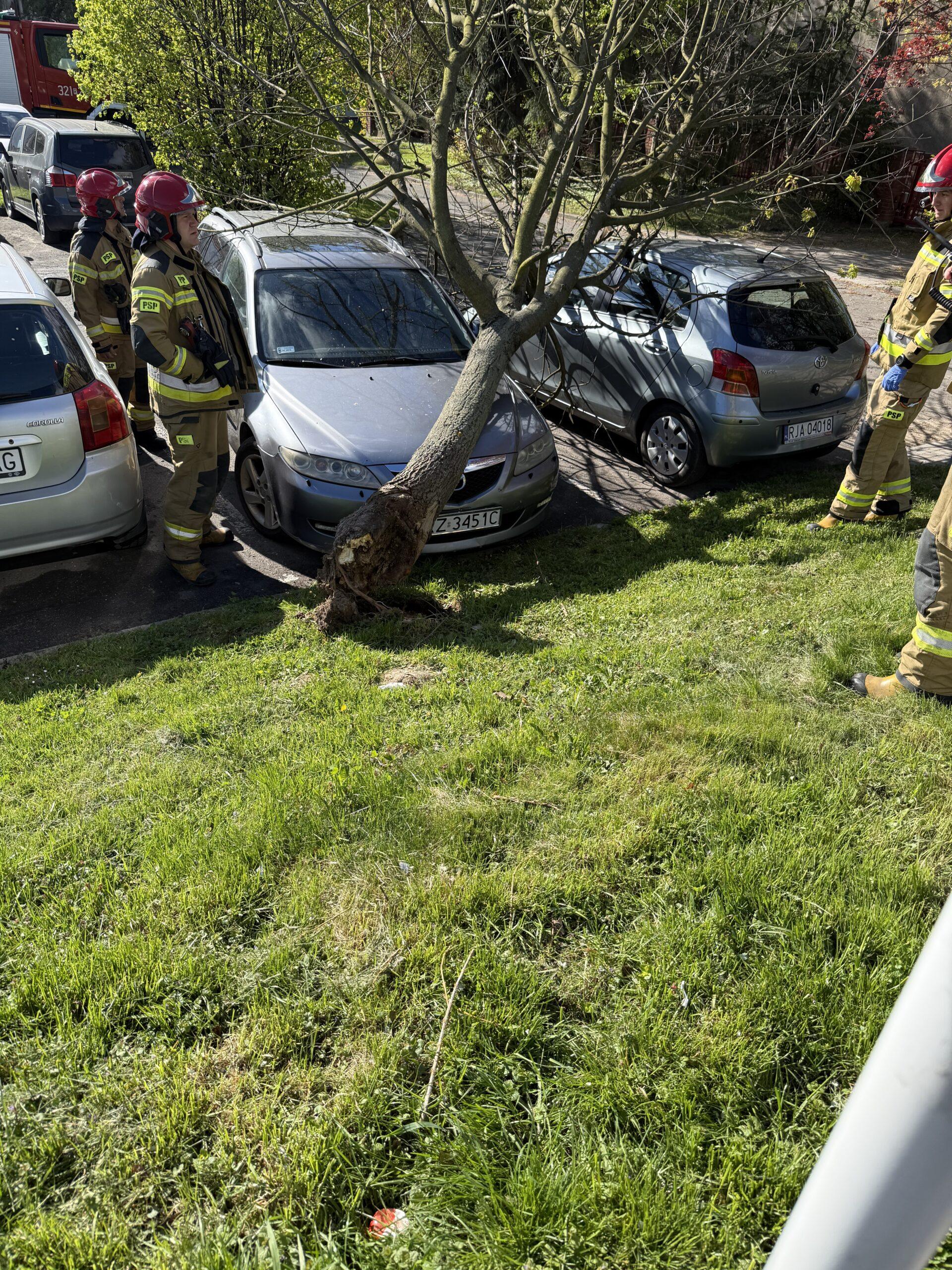 przygnieciony samochód