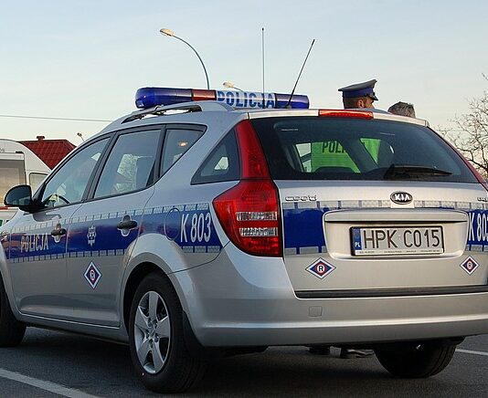 Przewoził nielegalnie wyciętą choinkę. Zatrzymany przez policję