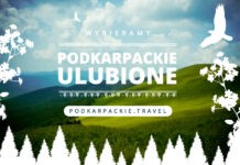 Ruszył projekt „Podkarpackie Ulubione”. Możecie głosować