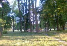 Miasto przejmie uniwersytecki park na osiedlu Zalesie