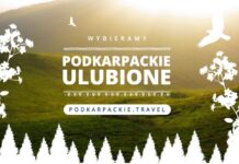 Cząstkowe wyniki plebiscytu “Podkarpackie Ulubione”