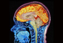 “Stop udarom” – akcja edukacyjna w Millenium Hall w Rzeszowie