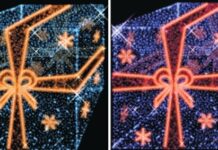 Tylko jedna oferta na bożonarodzeniowe oświetlenie Rzeszowa