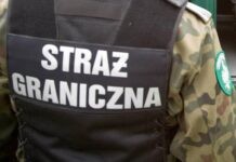 Celnicy i funkcjonariusze straży granicznej zatrzymani