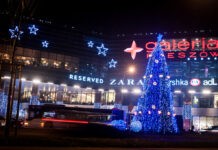 Świąteczna choinka w centrum Rzeszowa już świeci