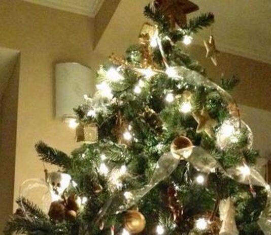 Co zrobić z świątecznym drzewkiem. Oddaj do PSZOK lub zostaw w worku na odpady zielone