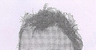 Zdjęcie: KWP Rzeszów