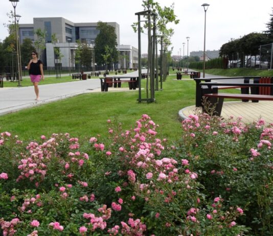 Kryształowa Cegła za przebudowę placu przed rzeszowskim sądem