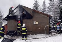 Dziadkowie tymczasowo zaopiekują się czwórką dzieci z Daliowej