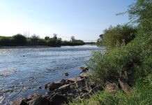 19-latek utonął w Wisłoce na oczach swoich kolegów