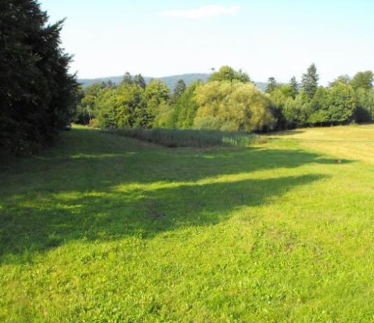 Czy działka pod miastem to dobra inwestycja?