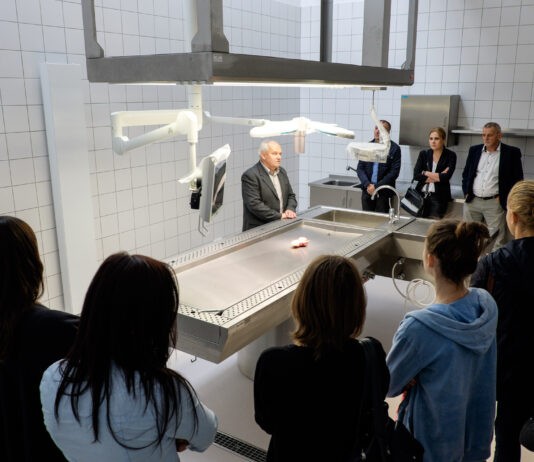 SPiN Day Rzeszów 2015. „Pokaż Włodku, co masz w środku”