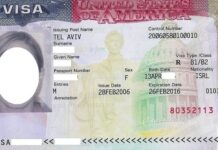 Jak zdobyć wizę do USA? Dzień Amerykański w WSIiZ w Rzeszowie