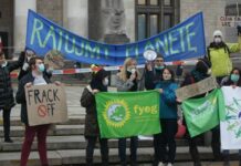 W niedzielę Marsz dla Klimatu, na Olszynkach zasadzą drzewa