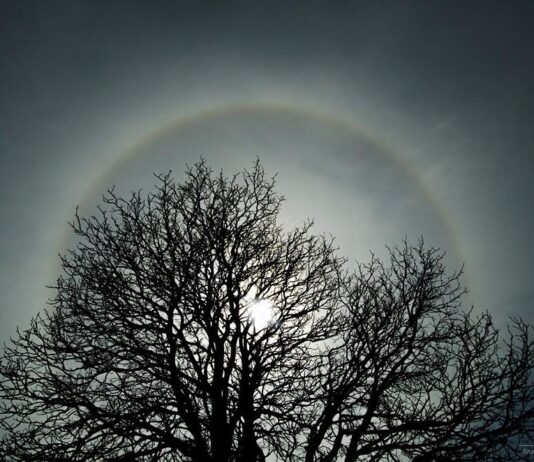 Halo księżycowe koło Rzeszowa. Zdjęcia naszego Czytelnika