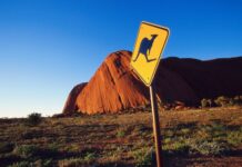 VI Dni Australii w Rzeszowie: podróżnicze slajdowiska, didgeridoo…