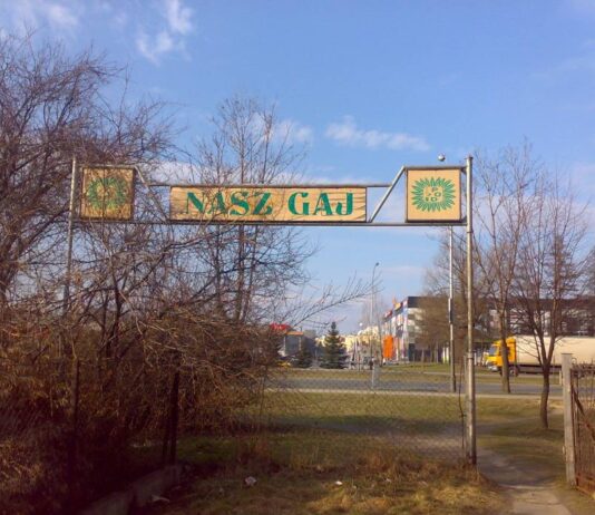 Nasz Beton zamiast Naszego Gaju ?