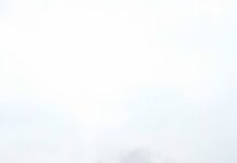 Pożar forda transita na ulicy Trembeckiego. Strażacy w akcji