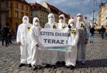 W Rzeszowie powstaje Greenpeace. Poszukiwany koordynator