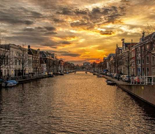 Nabory do pracy w Wielkiej Brytanii i Holandii. WUP szuka chętnych