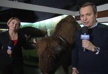 „Podkarpacie pod ochroną”. Nowy cykl programowy TVP Rzeszów