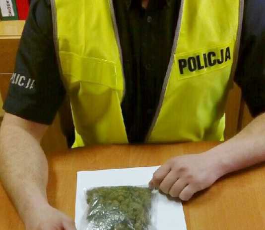 Ponad 43 g marihuany przy 16-latku. Udany pościg policjantów