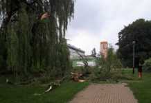 Skutki burzy w Rzeszowie: uszkodzone dachy, zniszczone parki, wyrwane drzewa
