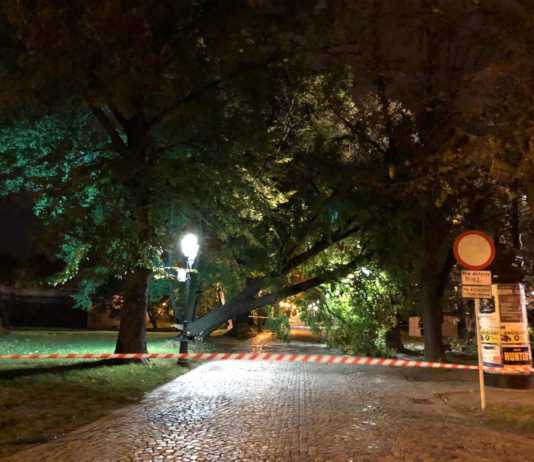Skutki silnego wiatru: połamane drzewa, zerwane dachy, zniszczone samochody
