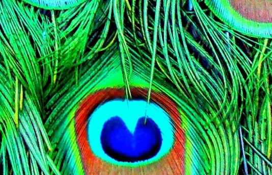 W środę zmasowany atak poetycki, czyli V Najazd Awangardy na Rzeszów