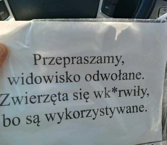 Wulgarne naklejki o odwołaniu występu cyrku w Rzeszowie. „To zagranie poniżej pasa”