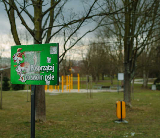 Psi park w Rzeszowie jednak powstanie i to jeszcze w tym roku