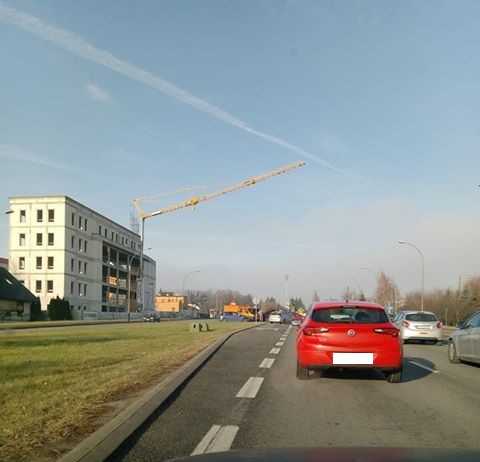 Wypadek na alei Armii Krajowej w Rzeszowie. Zderzenie BMW z renault