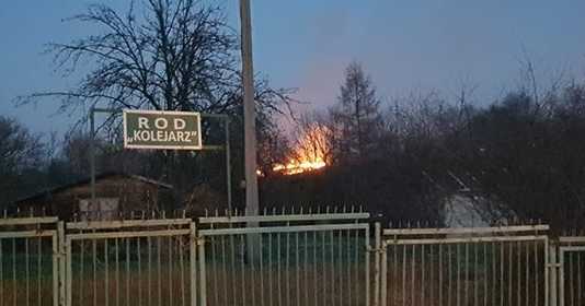 W Rzeszowie znów płoną trawy. Strażacy w akcji