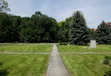 Przetarg na modernizację parku przy ul. Dąbrowskiego. Dwie oferty za wysokie