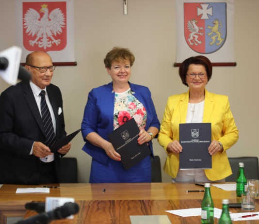 Co nam dają drzewa? W Rzeszowie pojawią się specjalne tabliczki informacyjne