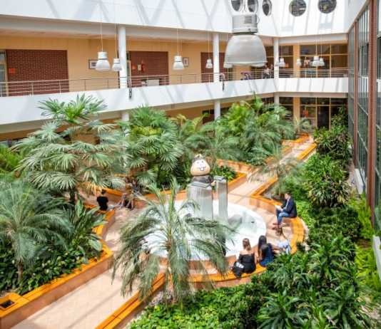 Nadal możesz wybrać studia na najpopularniejszych kierunkach w Rzeszowie!