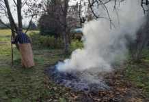 Jest zakaz, a i tak palą liście i trawę na ogródkach działkowych i posesjach