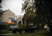 Kiedy i czy na placu Wolności zostaną wycięte drzewa? Będzie protest mieszkańców?