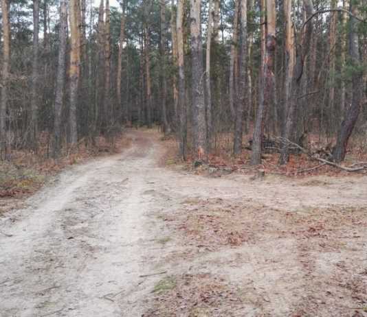 Quady niszczą szlaki, a psy czekają na ratunek przywiązane do drzew. Trudna wiosna na Podkarpaciu quad