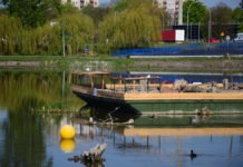 Rzeszowskie Discovery na zalewie! Na żywo zobaczysz rybitwę mieszkającą na barce