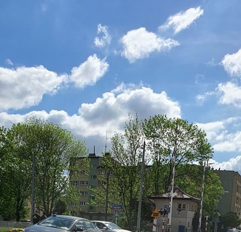 Poranny wypadek w Rzeszowie. Kierowca BMW potrącił rowerzystę