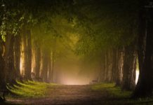 Bajkowe zdjęcia Witolda Ochała z parku w Wiśniowej. Zobacz!