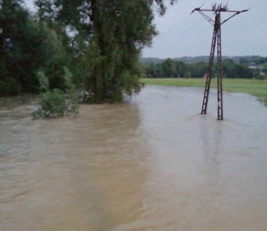 Wody Polskie chcą zabezpieczyć Rzeszów przed wylaniem Młynówki i Strugu