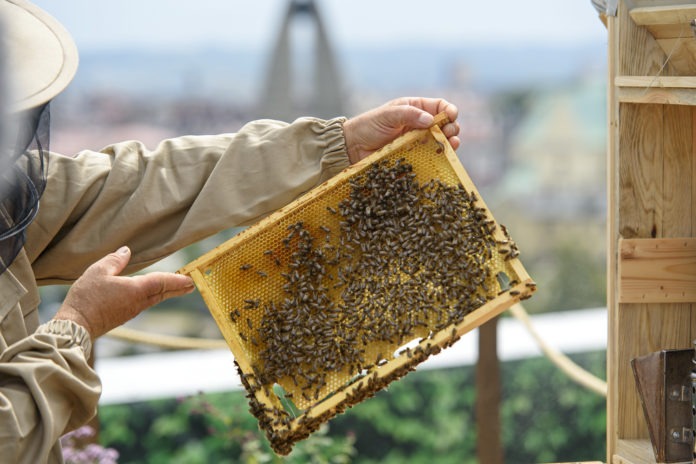 DSC_1560_RZESZOW_NEWS_SEBASTIAN_STANKIEWICZ