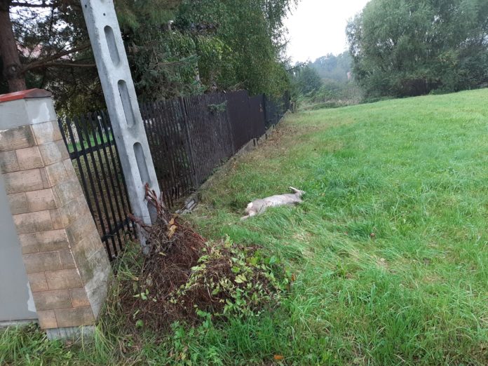 122859417_2698683063718804_2060082411720732978_n