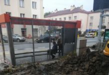 Kto i dlaczego zniszczył klomb przy ul. Hetmańskiej? “Kto za to zapłaci?”