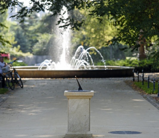 Park przy ul. Dąbrowskiego pod ochroną. Mieszkańcy kradli krzewy i kwiaty