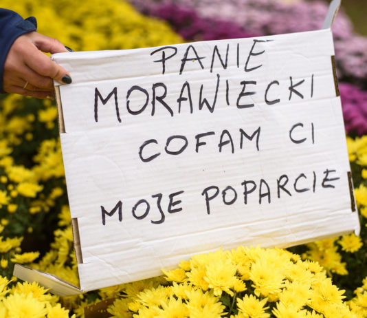 Wszystkich Świętych 2020. W Rzeszowie nekropolie świecą pustkami, bez incydentów