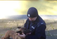 “Olimpia” – nowy czworonożny funkcjonariusz w szeregach podkarpackiej policji
