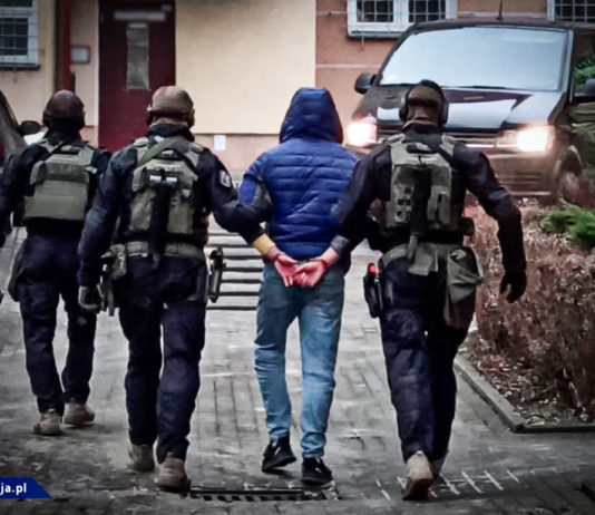 Rzeszowskie CBŚP w akcji! 7 osób zatrzymanych i areszty za handel marihuaną